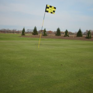 Chipping Green Chipping Green
