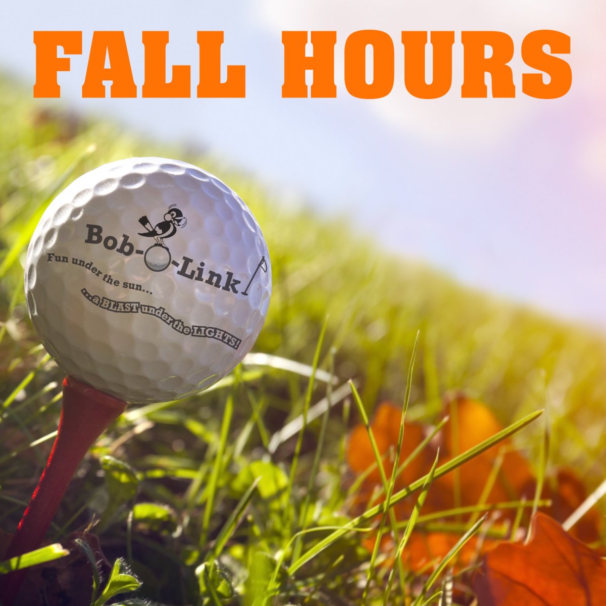FALL HOURS: (SMTW 8A-7:30P | TFS 8A-8P)