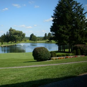 Terms & Conditions Terms & Conditions