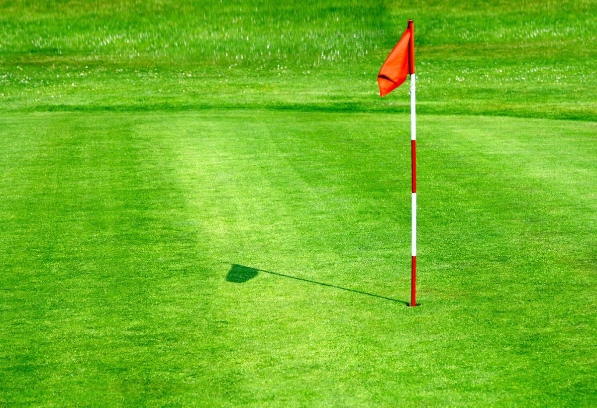 (image for) Chipping Green