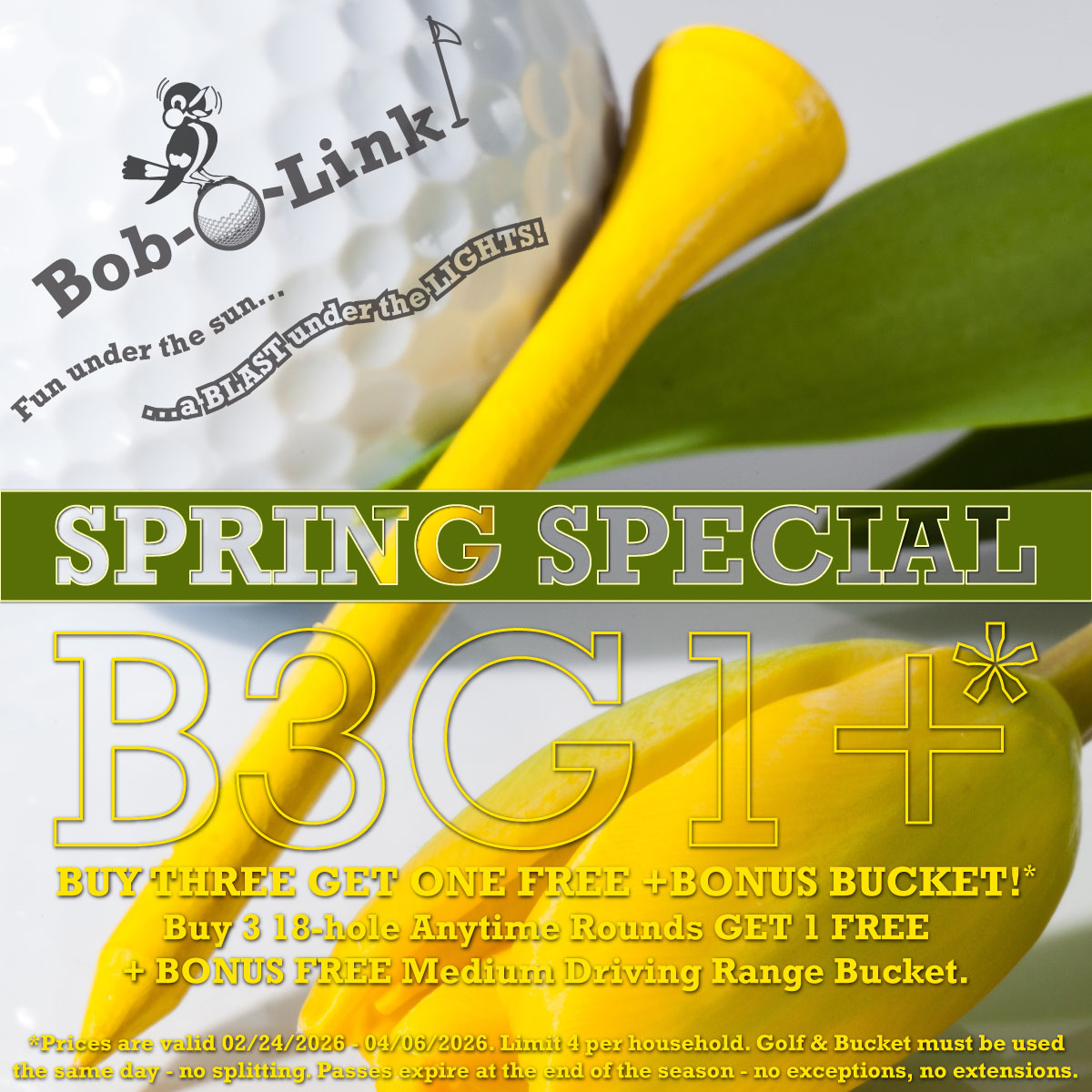SPRING SPECIALS
